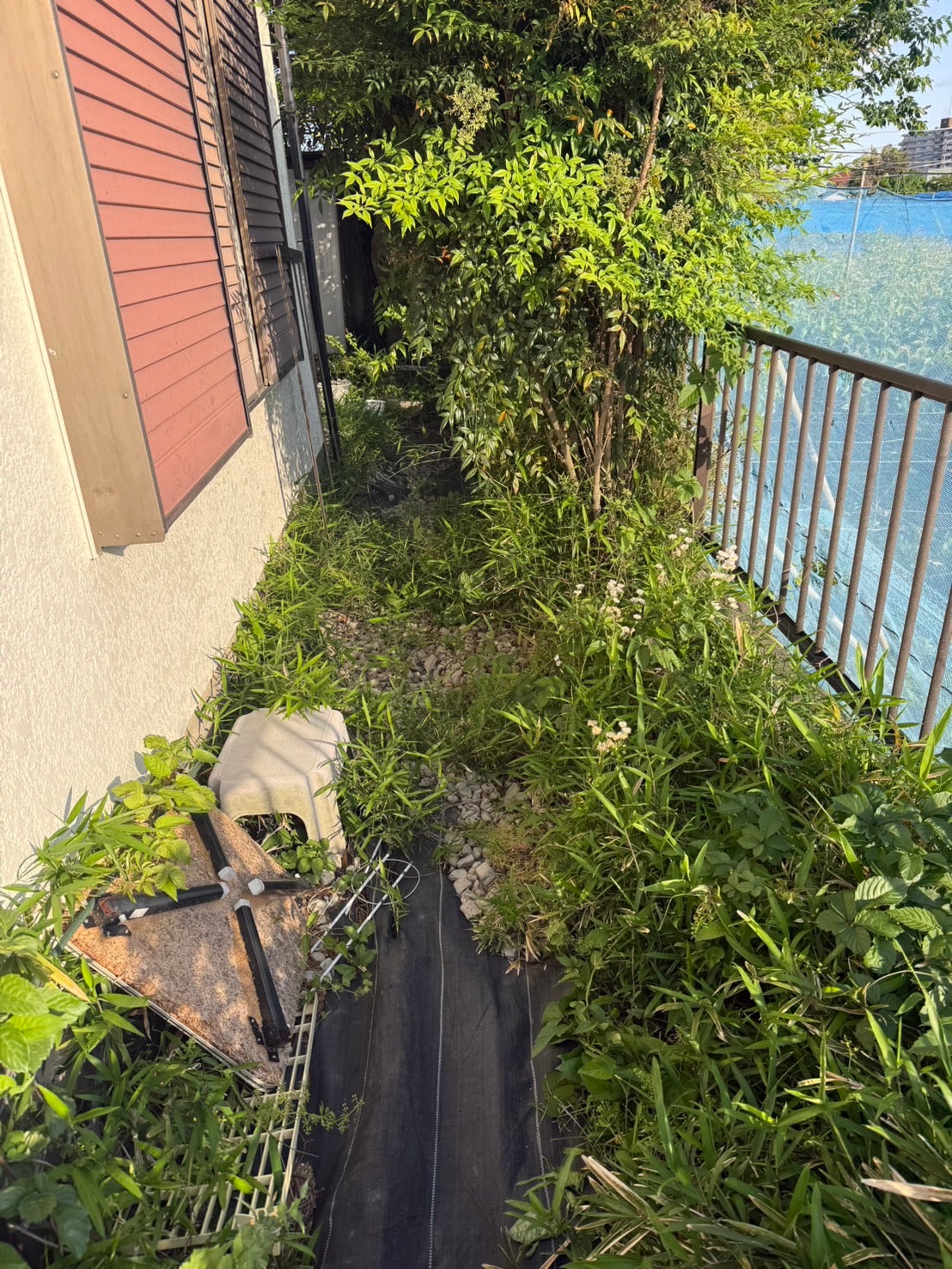 柿崎植木の紹介写真_1枚目