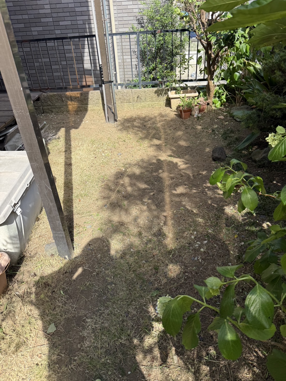 の画像